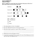 20 Heredity Traits Worksheets Worksheet From Home