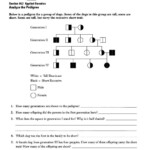 20 Heredity Traits Worksheets Worksheet From Home