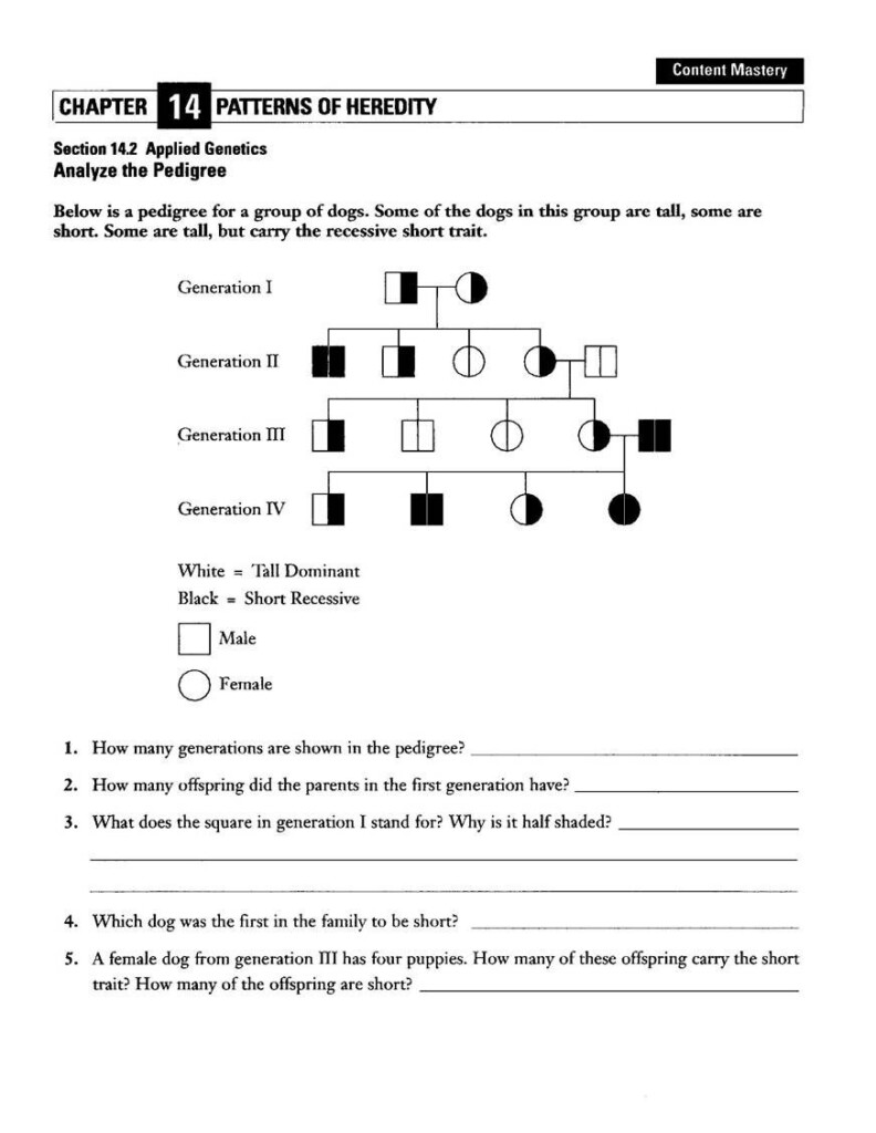 20 Heredity Traits Worksheets Worksheet From Home