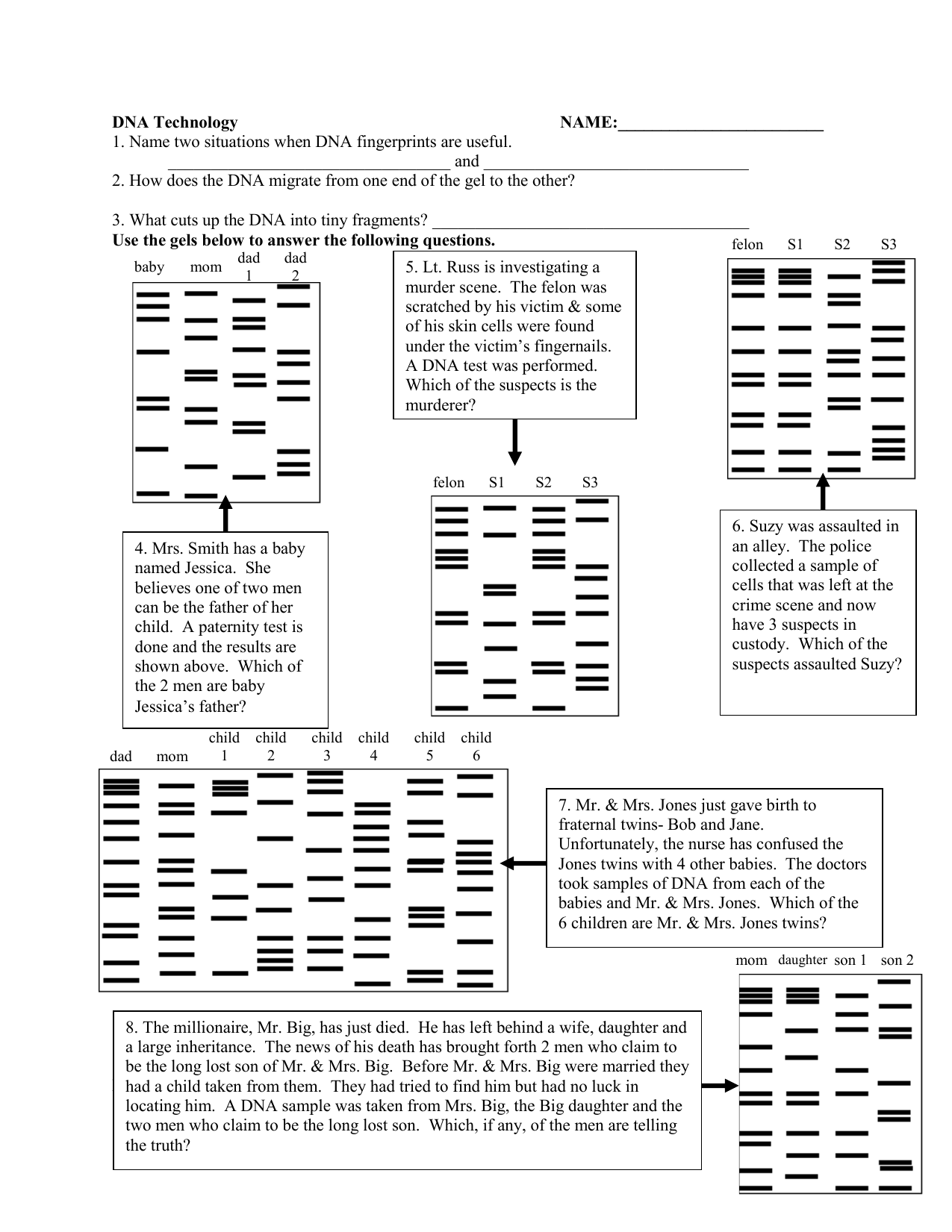 27 Dna Fingerprinting Worksheet Answers Worksheet Information