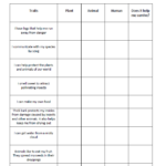 Animal Adaptations Worksheets Animal Adaptation Sheet Worksheets