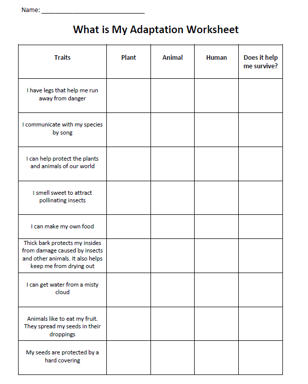 Animal Adaptations Worksheets Animal Adaptation Sheet Worksheets 