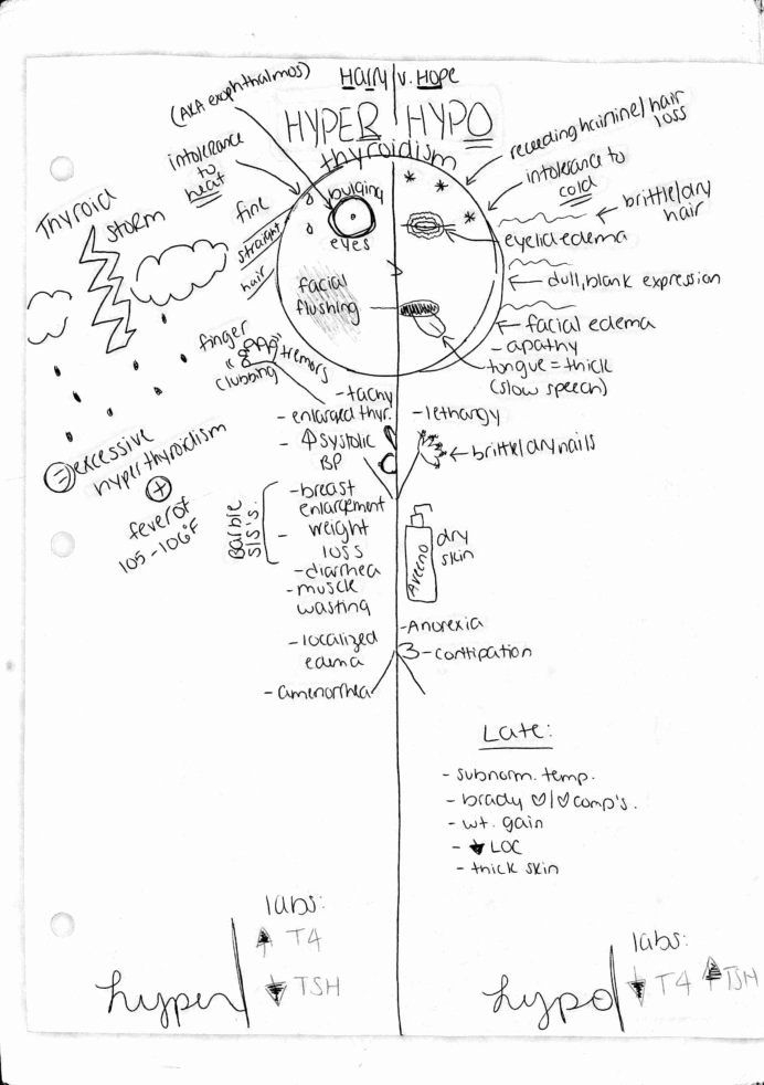 Biochemistry Skills Worksheet Answers Best Of Best Biochemistry