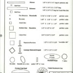 Culinary Knife Skills Worksheet Worksheet