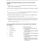 Digestive Enzymes Worksheet Answers Ivuyteq