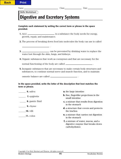 Digestive Enzymes Worksheet Answers Ivuyteq