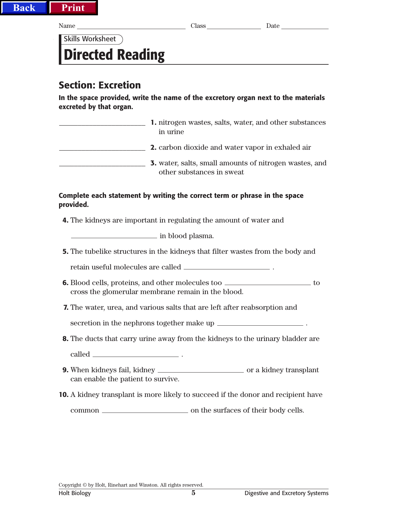 Excretory System Worksheet