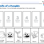 Pin On HALLOWEEN