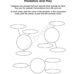 Portage Main Press Educational Books For Teachers 4th Grade