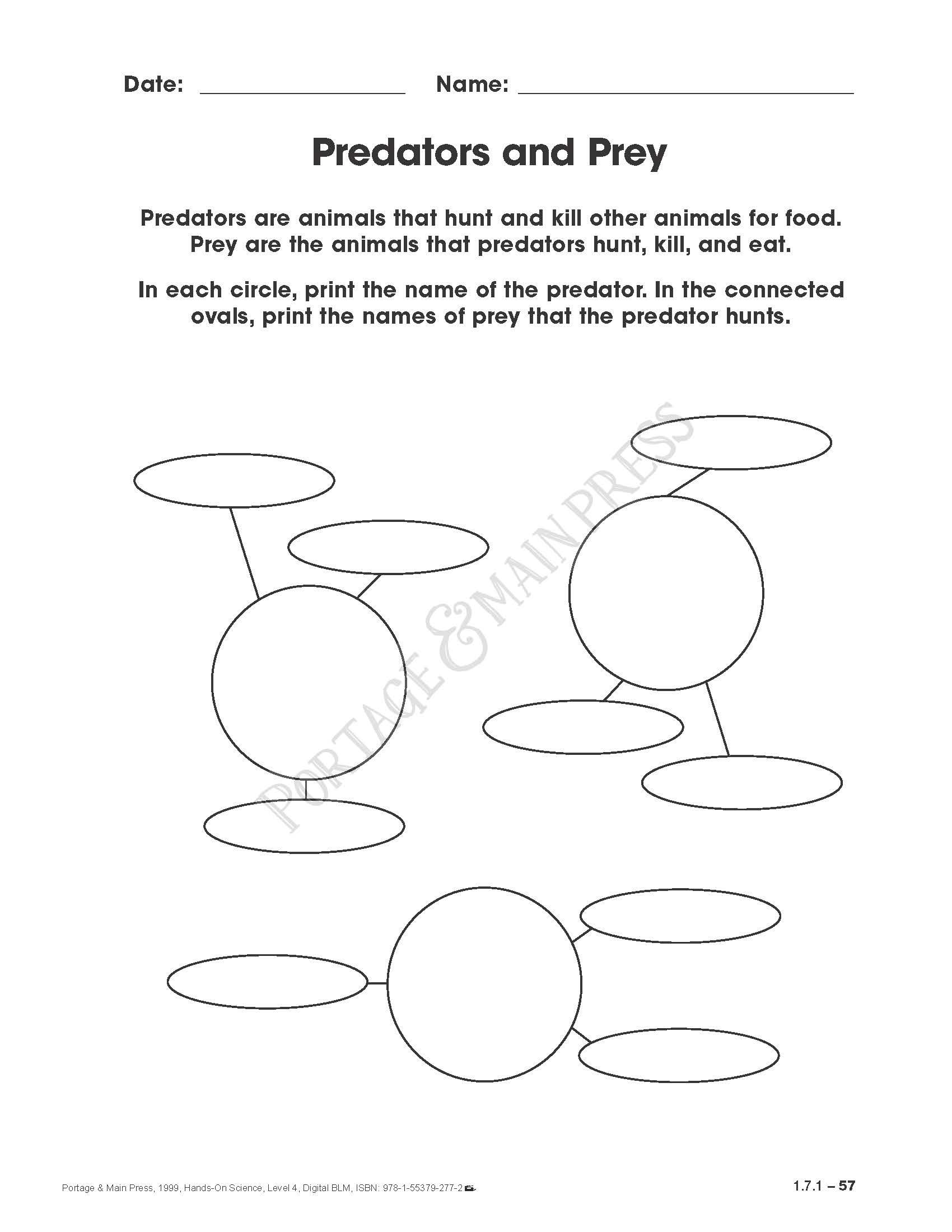 Portage Main Press Educational Books For Teachers 4th Grade