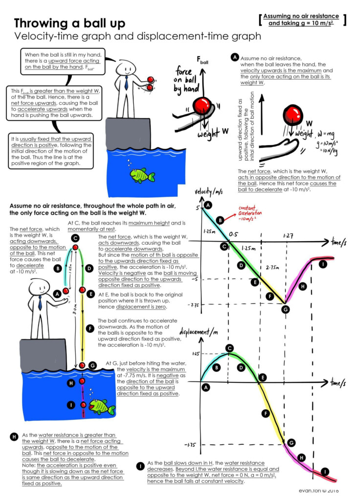Position Time Graph Worksheet Velocity Time And Displacement Time Graph 