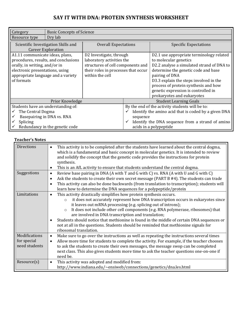 Protein Synthesis Worksheet Molecular Biology Resource