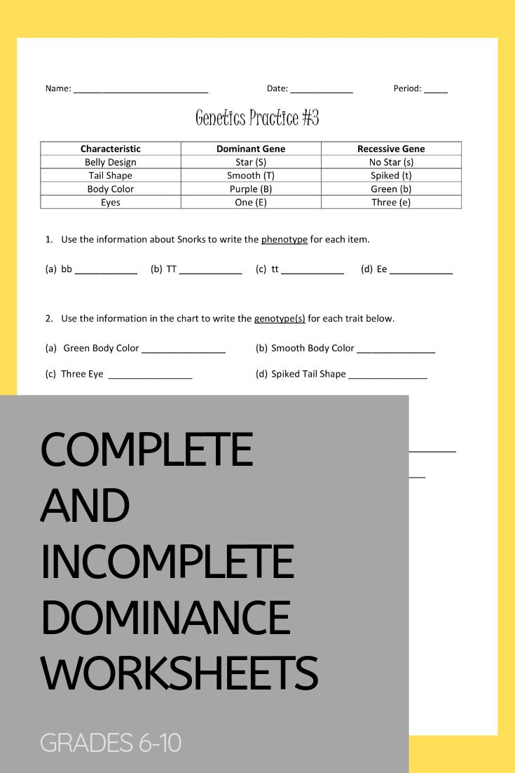 Punnett Square Worksheets And Other Genetics And Heredity Topics