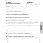 Study Guide On 19 6 Fungi Uses