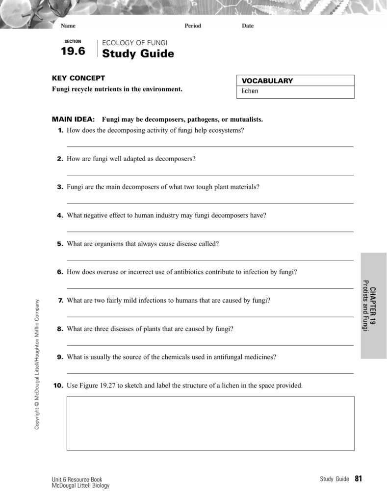 Study Guide On 19 6 Fungi Uses