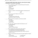 Test Prep Pretest Db excel
