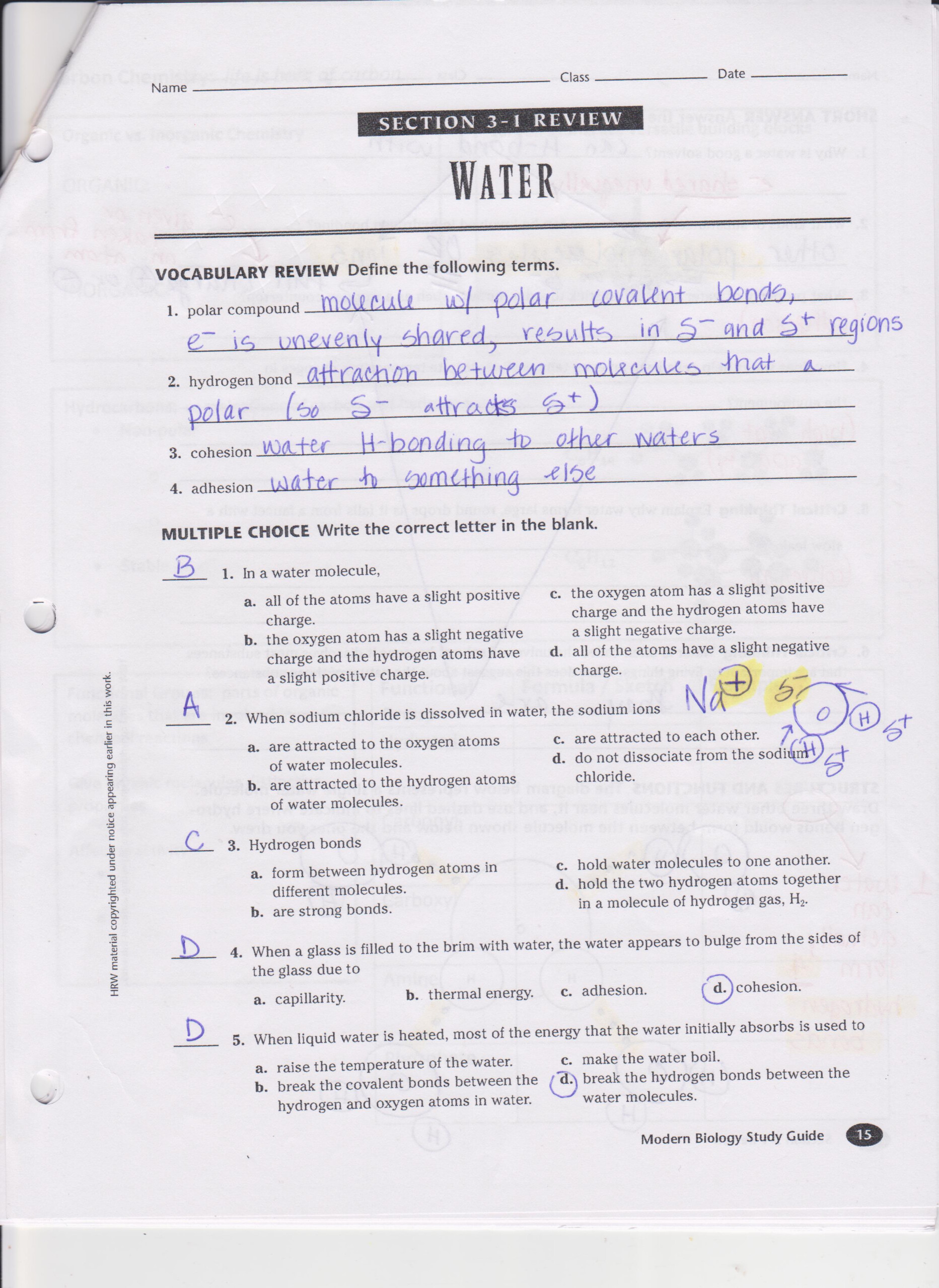 Worksheet Mendel And Meiosis Worksheet Answers Worksheet Fun
