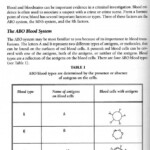 14 For Shelby Junior High School Life Skills Worksheets Worksheeto