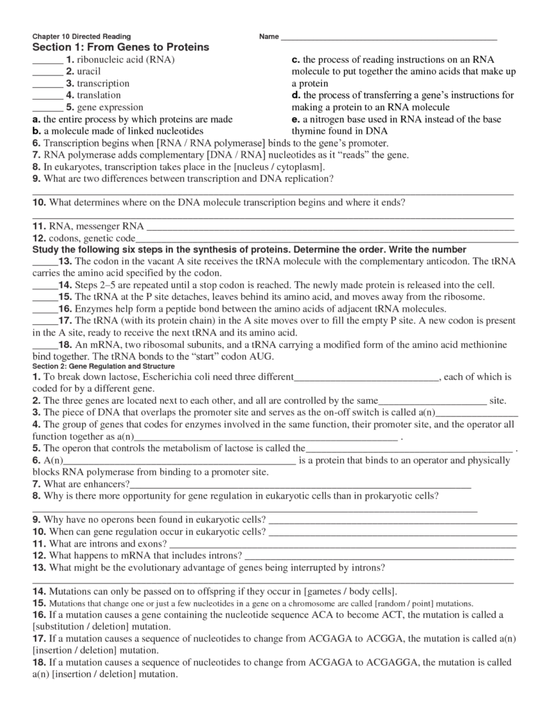 17 Science Skills Worksheets With Answer Key Worksheeto