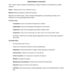 28 Water Carbon And Nitrogen Cycle Worksheet Answer Key Worksheet