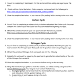 28 Water Carbon And Nitrogen Cycle Worksheet Answer Key Worksheet