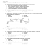 34 Biology Chapter 3 Worksheet Answers Free Worksheet Spreadsheet