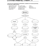 34 Skills Worksheet Concept Mapping Answers Holt Biology Worksheet