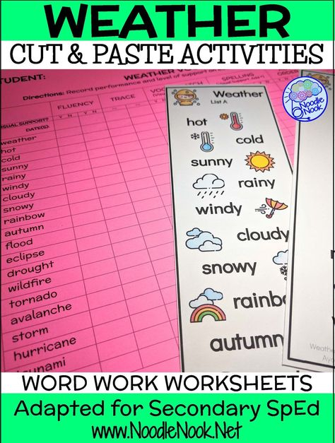 530 Work Systems Work Boxes Ideas In 2021 Work Boxes Life Skills 