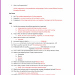 Adventures In Science Worksheet Answer Key Worksheet Resume Examples