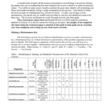 Bacterial Identification Lab Worksheet Key Worksheet List