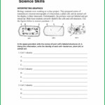 Biology Science Skills Worksheet Answer Key Worksheet Resume Examples