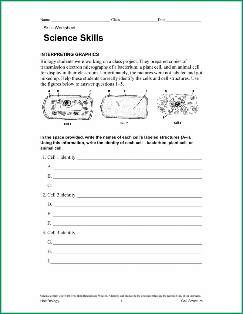 Concept Mapping Skills Worksheet Answer Key SkillsWorksheets com Concept Mapping Skills Worksheet Answer Key SkillsWorksheets com