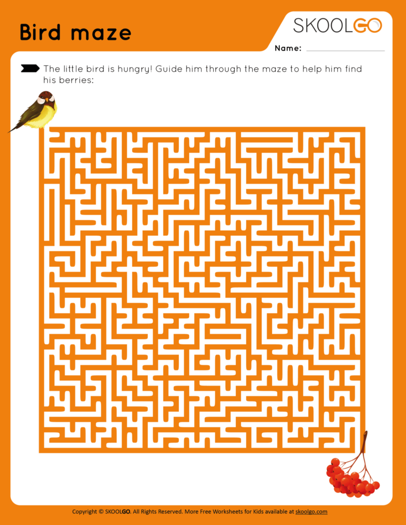 Bird Maze Free Worksheet By SKOOLGO