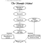 Can You Spot The Scientific Method Worksheet Db excel