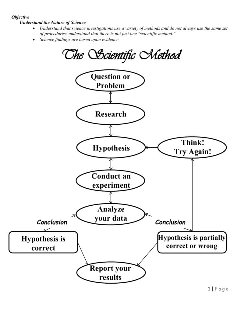 Can You Spot The Scientific Method Worksheet Db excel