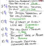 Cell Growth And Division Worksheet Ivuyteq