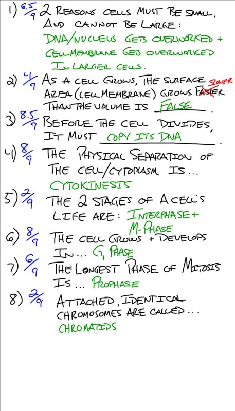Cell Growth And Division Worksheet Ivuyteq