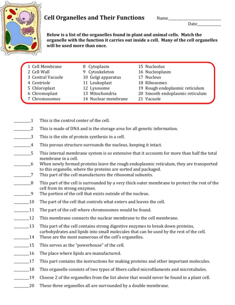 Cell Membrane Structure And Function Worksheet Answer Key Function