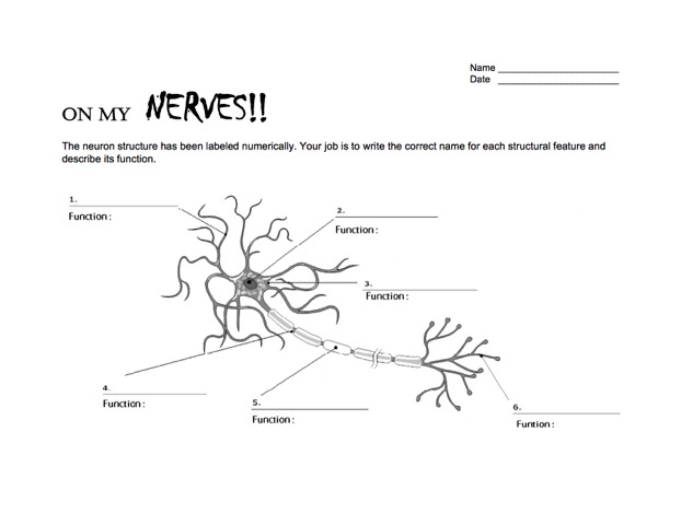 Day Three Skyview Neurotransmitters And Drugs NW NOGGIN 