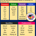 Determiners And Examples In English English Grammar Here In 2021