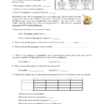 Dihybrid Crosses Answers Dihybrid Crosses Practice Worksheet