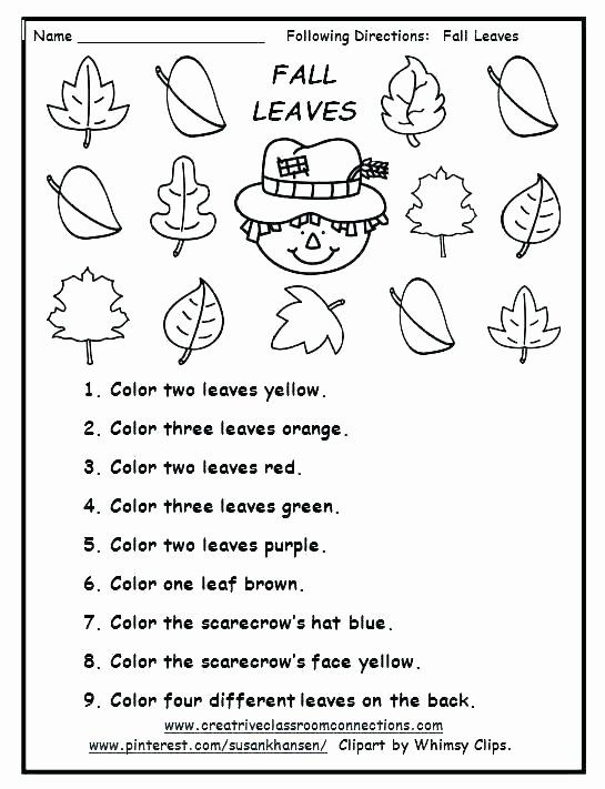 Directions Worksheet Grade 1 Thekidsworksheet