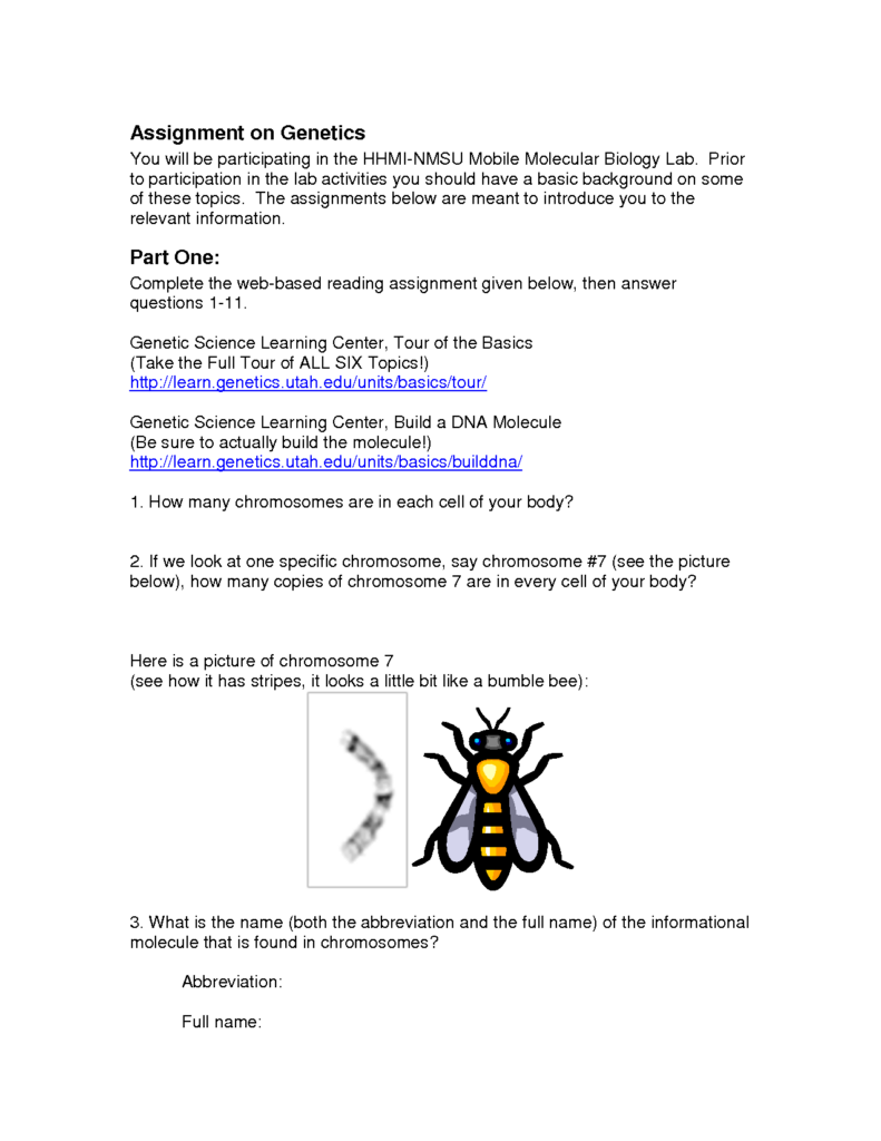  Dna Reading Worksheet Free Download Gmbar co