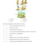 Ecosystem Vocabulary Worksheet Lesson Planet Ecosystems Vocabulary