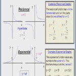 Exponential Functions Worksheet