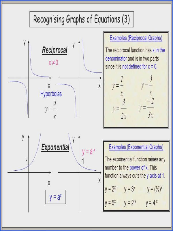 Exponential Functions Worksheet