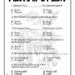 Gk Worksheets For Grade 1 Gk Worksheets For Grade 1 In 2020 Free