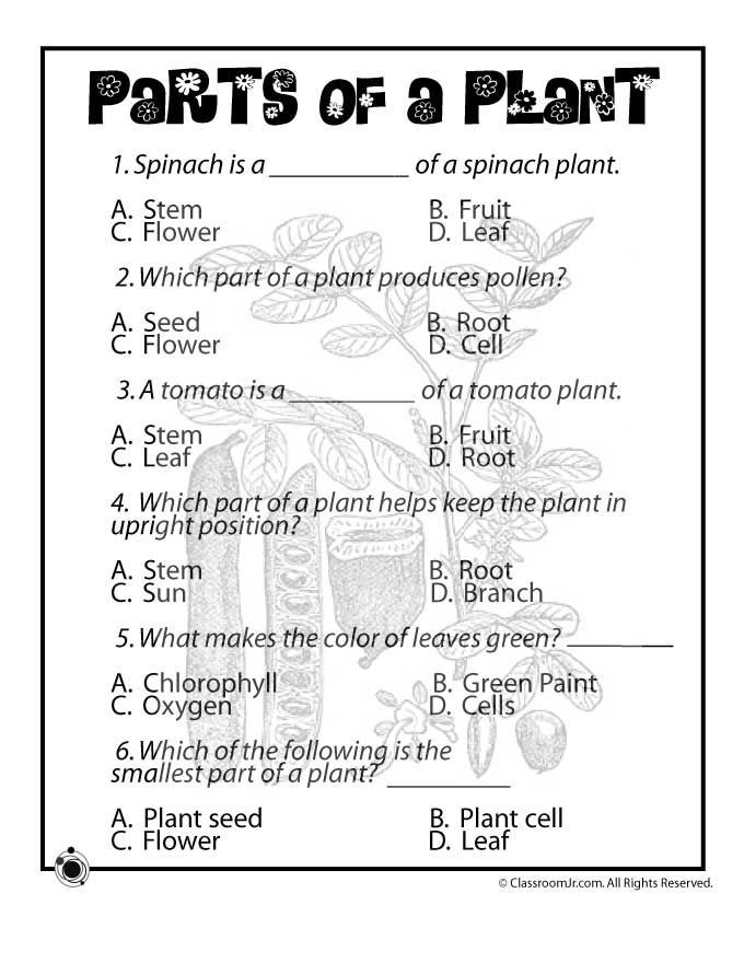 Gk Worksheets For Grade 1 Gk Worksheets For Grade 1 In 2020 Free 