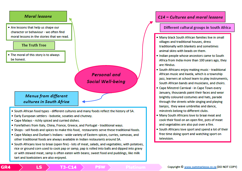 Grade 4 Life Skills Personal And Social Well being LS PSW Term 3