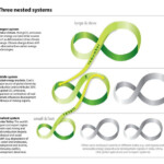 Levels Of Biological Organization From Smallest To Largest